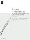 TRIEBENSEE,GEORG - 24 ÜBUNGEN IN VARIATIONSFORM ÜBER "OH,DU LIEBER AUGUSTIN" FÜR OB.UND VL.