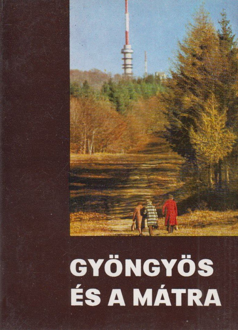 DALLOS ATTILA - Gyöngyös és a Mátra [antikvár]