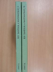Berki Judit - Így tanítjuk a matematikát I-II. [antikvár]