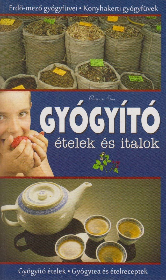 Császár Éva - Gyógyító ételek és italok [antikvár]