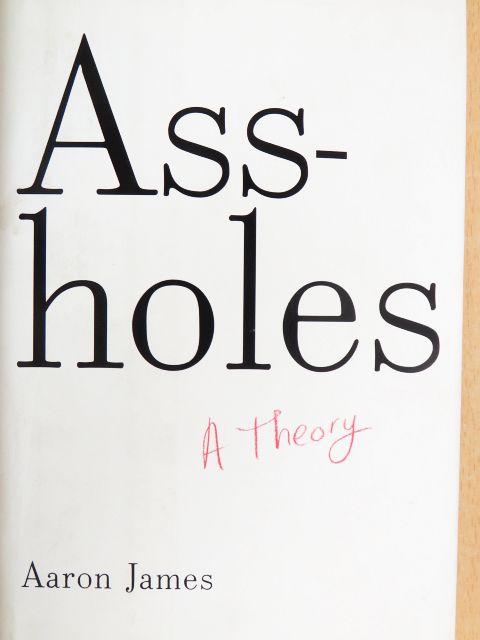 Aaron James - Assholes - A Theory [antikvár]