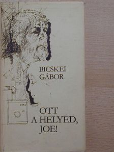 Bicskei Gábor - Ott a helyed, Joe! [antikvár]