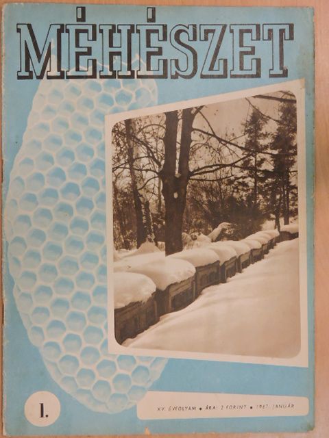 Dr. Vicze Ernő - Méhészet 1967. január [antikvár]