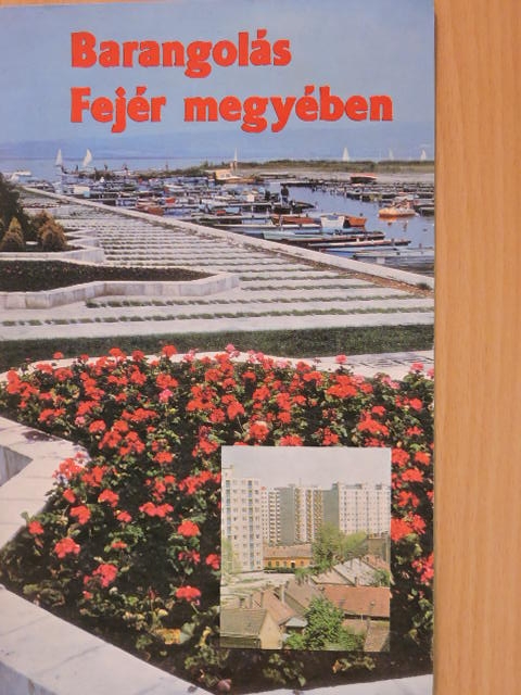Barangolás Fejér megyében [antikvár]