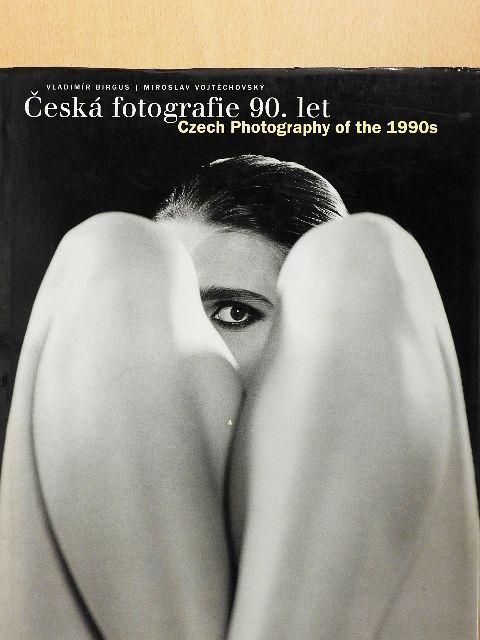 Miroslav Vojtechovsky - Ceská fotografie 90. let [antikvár]