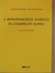 Arany Erzsébet - A romapedagógia elméleti és gyakorlati alapjai [antikvár]