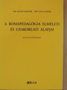 Arany Erzsébet - A romapedagógia elméleti és gyakorlati alapjai [antikvár]