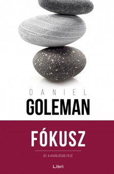 Daniel Goleman - Fókusz [eKönyv: epub, mobi]