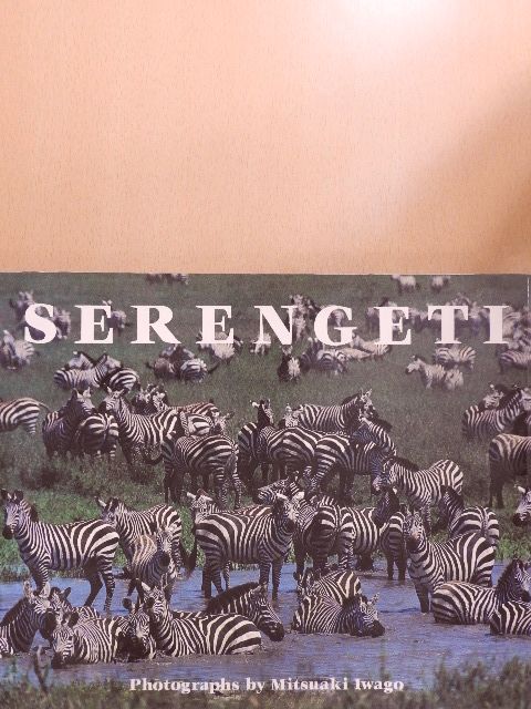 Mitsuaki Iwago - Serengeti [antikvár]