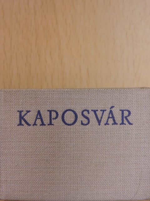 Leskó László - Kaposvár (minikönyv) [antikvár]
