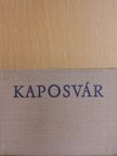 Leskó László - Kaposvár (minikönyv) [antikvár]