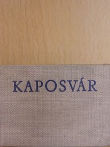 Leskó László - Kaposvár (minikönyv) [antikvár]