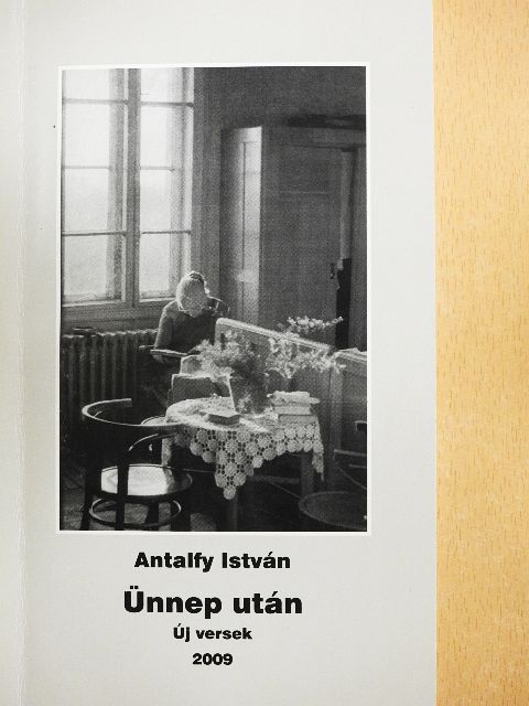 Antalfy István - Ünnep után [antikvár]