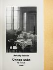 Antalfy István - Ünnep után [antikvár]