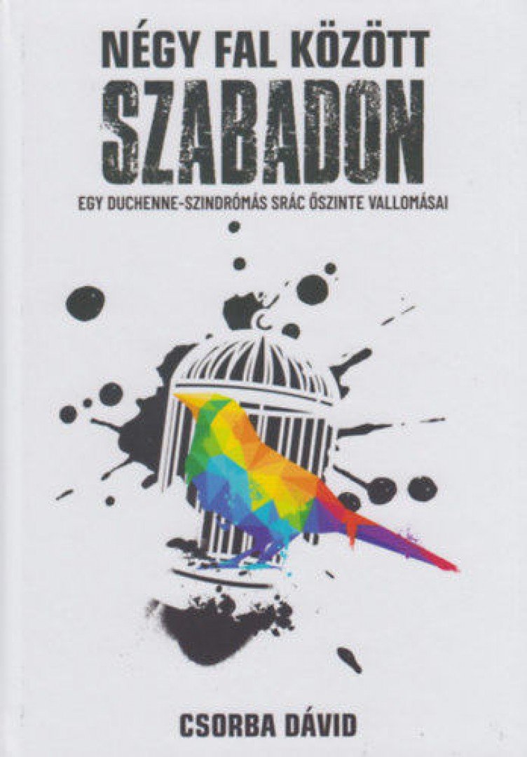 Csorba Dávid - Négy fal között szabadon [antikvár]