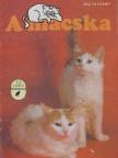 A macska [antikvár]