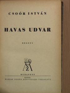 Csoór István - Havas udvar [antikvár]