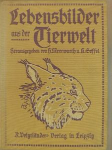 Else Soffel - Lebensbilder aus der Tierwelt II. (gótbetűs) (töredék) [antikvár]