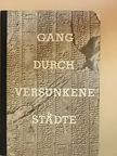 Siegfried Oertwig - Gang durch versunkene Städte [antikvár]