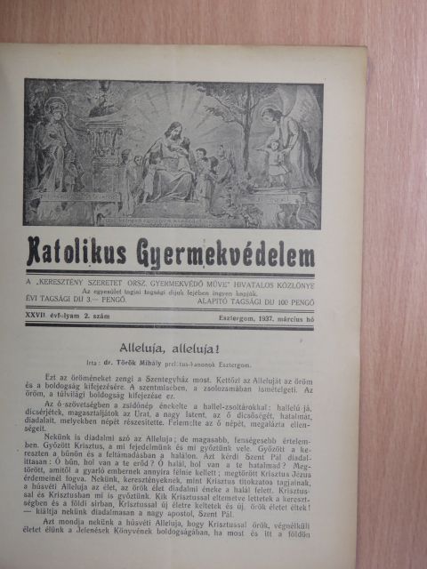 Dr. Török Mihály - Katolikus gyermekvédelem 1937. március [antikvár]