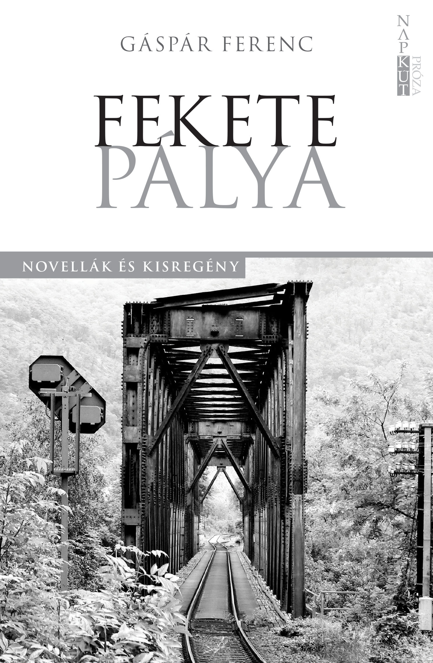 Gáspár Ferenc - Fekete pálya
