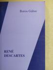 Boros Gábor - René Descartes [antikvár]
