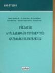 Dr. Birher Ilona - Példatár a vállalkozási tevékenység gazdasági elemzéséhez [antikvár]
