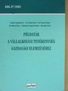 Dr. Birher Ilona - Példatár a vállalkozási tevékenység gazdasági elemzéséhez [antikvár]