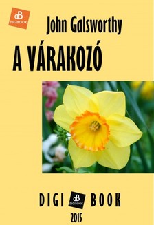 John Galsworthy - A várakozó [eKönyv: epub, mobi]