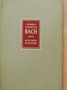 Richard Petzoldt - Johann Sebastian Bach [antikvár]