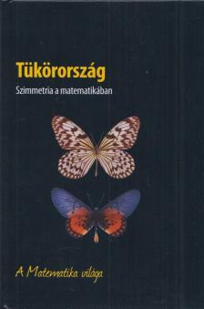 Joaquín Navarro - Tükörország [antikvár]