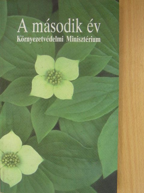 A második év [antikvár]