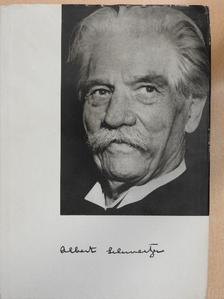 Dr. Ch. Dereu - Albert Schweitzer [antikvár]