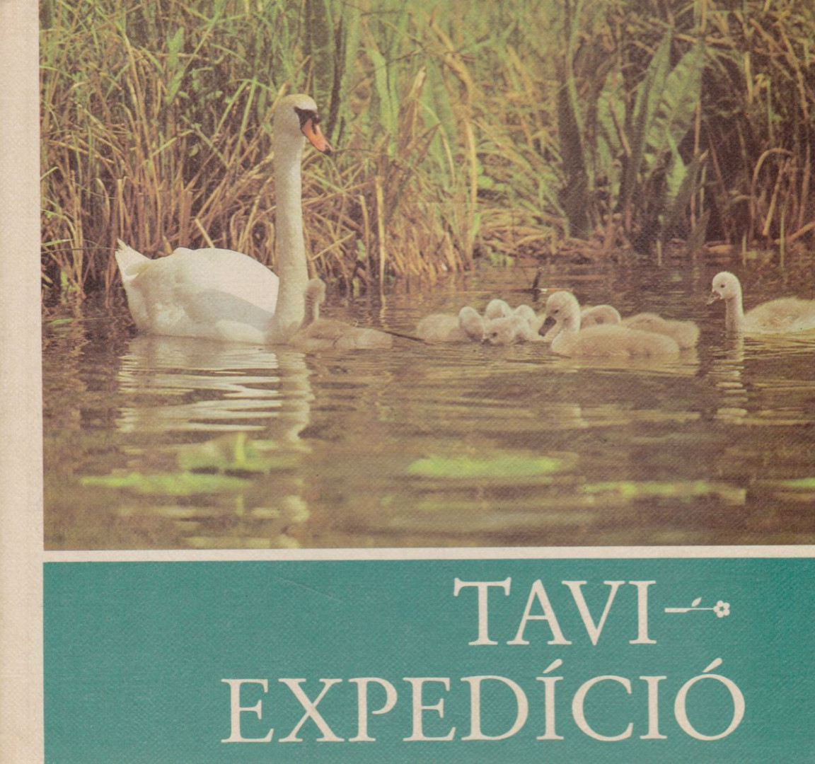 Massny, Helmut - Tavi expedíció [antikvár]