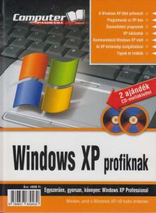 BÁNYAI FERENC - Windows XP profiknak [antikvár]