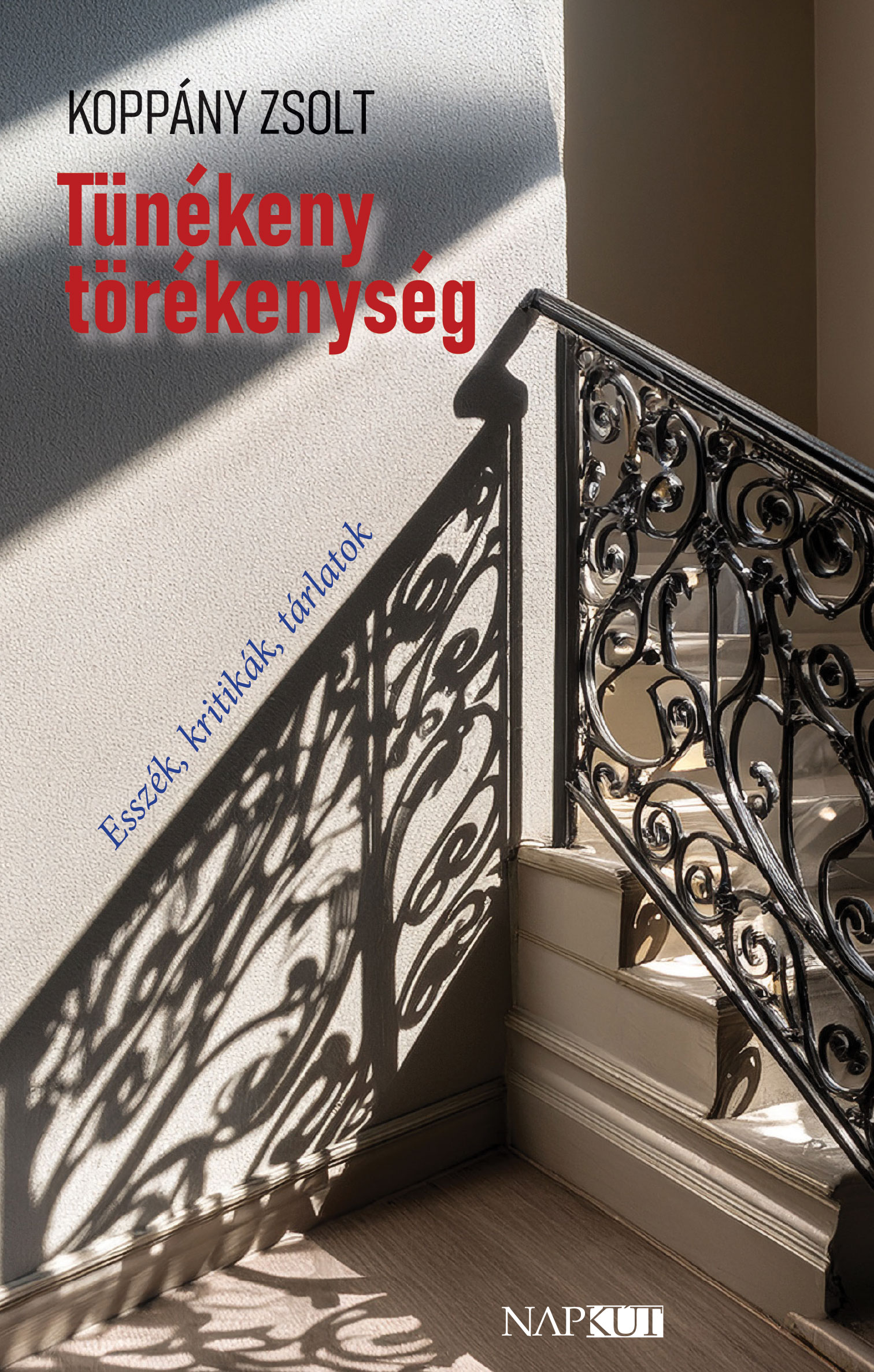Koppány Zsolt - Tünékeny törékenység