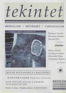 Ördögh Szilveszter - Tekintet 2013/6 [antikvár]