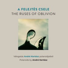Fisli Éva - A felejtés csele -The Ruses of Oblivion