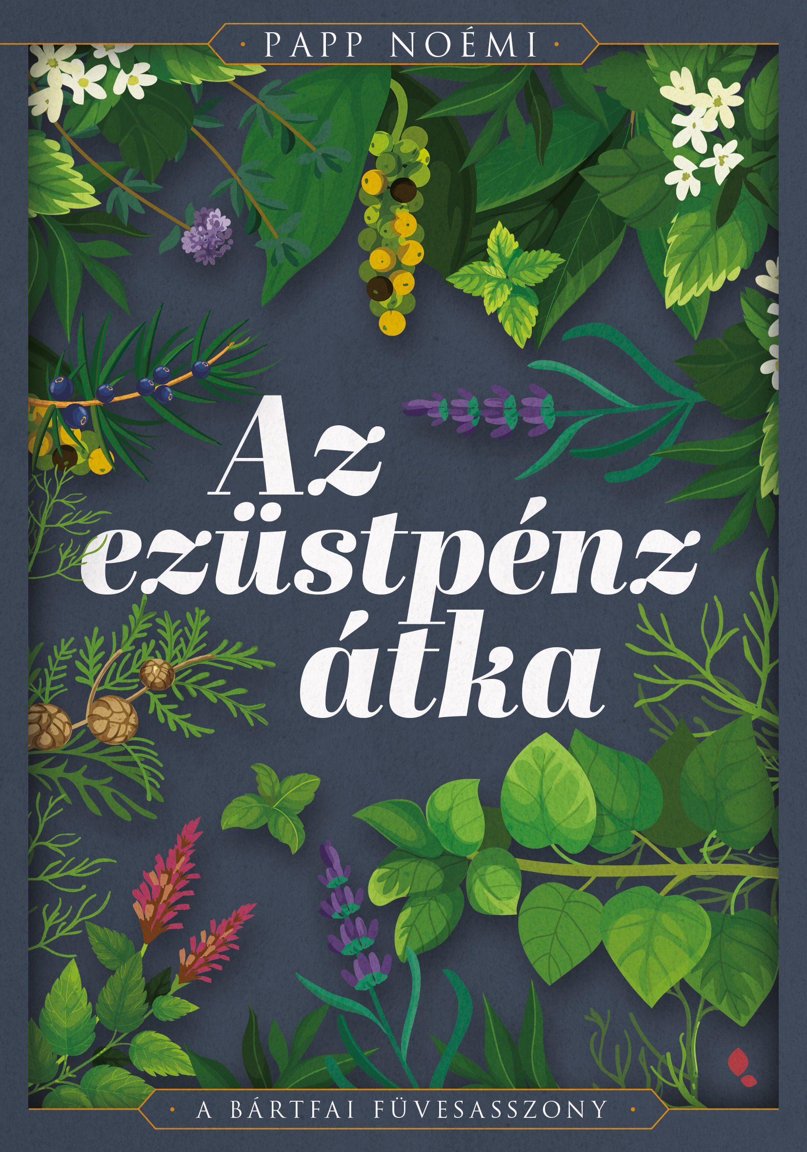 Papp Noémi - Az ezüstpénz átka [eKönyv: epub, mobi]