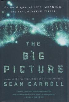 Sean Carroll - The Big Picture: On the Origins of Life, Meaning, and the Universe Itself [antikvár]