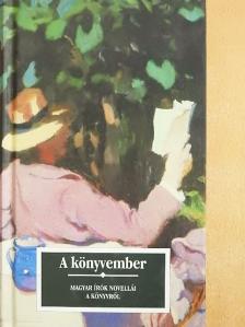 Ambrus Zoltán - A könyvember [antikvár]
