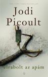 Jodi Picoult - Elrabolt az apám