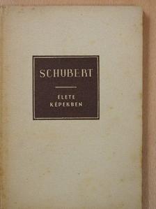 Richard Petzoldt - Franz Schubert élete képekben [antikvár]