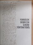 Besze Tibor - Források Debrecen újkori történetéből [antikvár]