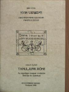 Libisch Győző - Tanuljunk róni! [antikvár]
