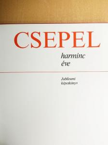 Czifrusz János - Csepel harminc éve [antikvár]
