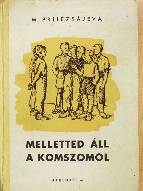 M. Prilezsajeva - Melletted áll a komszomol [antikvár]