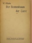 Wilhelm Bölsche - Der Stammbaum der Tiere (gótbetűs) [antikvár]