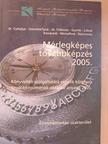 Dömötörfy Józsefné - Mérlegképes továbbképzés 2005. [antikvár]