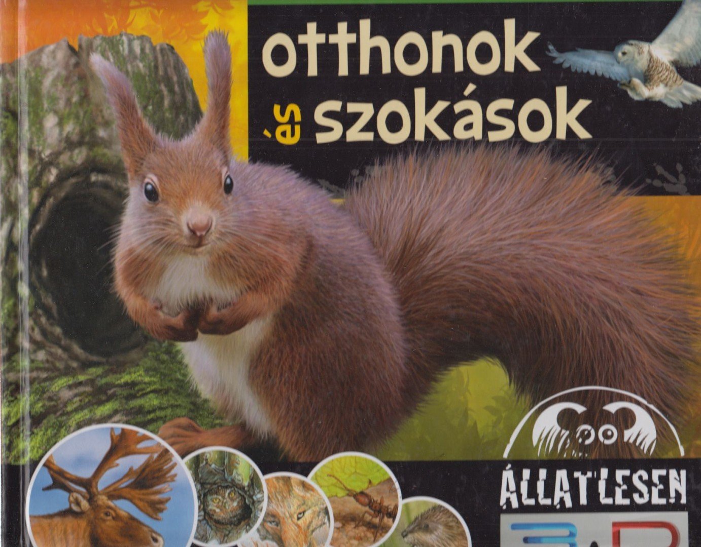 Bagoly Ilona - Otthonok és szokások [antikvár]